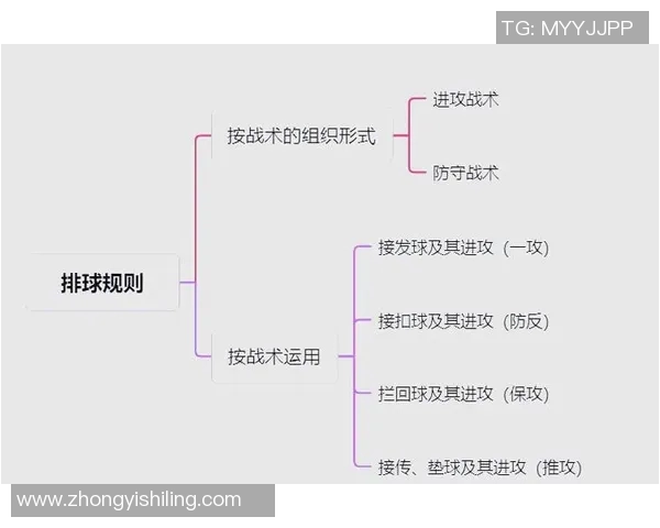 深圳排球队反击战术全解析深度剖析排球竞技中的策略与技巧