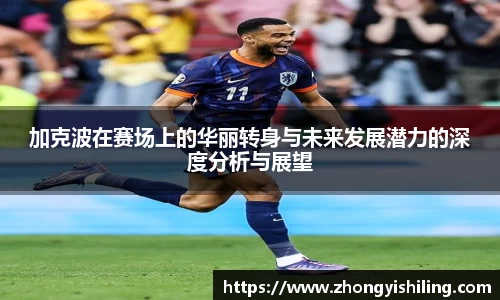 完美体育官网