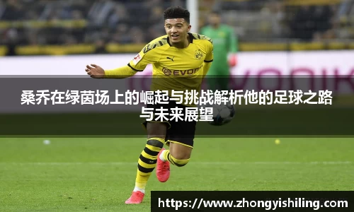 完美体育平台